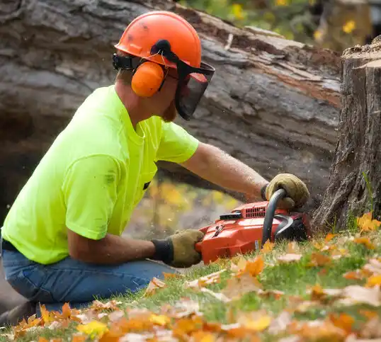 tree services Bolton